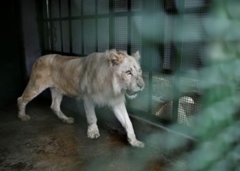Foto Reuters