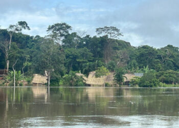 Cortesía Gobernación de Amazonas