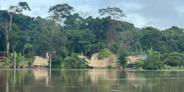 Cortesía Gobernación de Amazonas