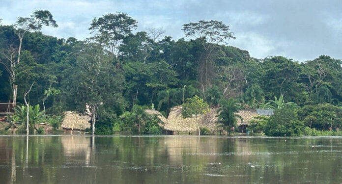 Cortesía Gobernación de Amazonas