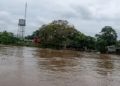 La Patilla