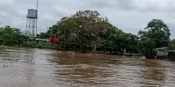 La Patilla