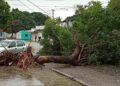 Foto vía lapatilla.com