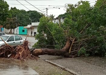 Foto vía lapatilla.com